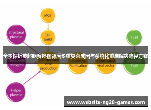 全景探析英超联赛停摆背后多重复杂成因与系统化重启解决路径方案
